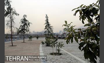 گذرفرهنگی تاراز 12