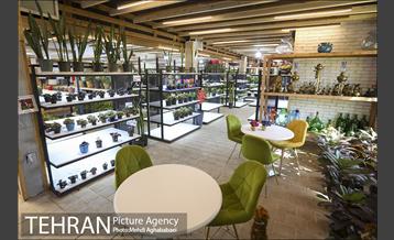 مرکز گل و گیاه ایوار 29