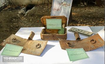 چهارمین جشنواره خرمالوی کن 1