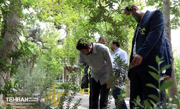 حضور رئیس کمیسیون شهرسازی شورای شهر تهران در منطقه ۱۷  15