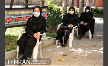 زیر آسمان روضه 10