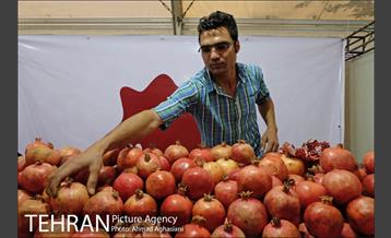 هفتمین جشنواره انار فرهنگسرای اشراق 12