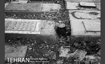 گورستان امام‌زاده عبدالله شهر ری 10