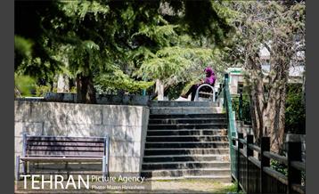 بوستان نیاوران در یک روز آفتابی 18