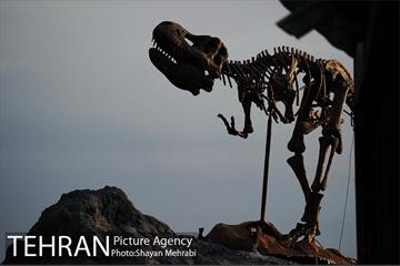 ژوراسیک پارک تهران 58