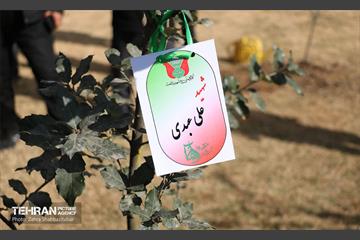 آیین پدران آسمانی  3