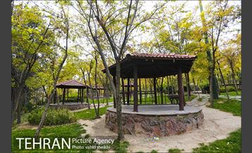 طبیعت پاییزی بوستان فدک 17