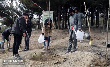 جشن درختکاری در منطقه ۵ 2