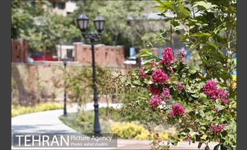 بوستان پدر 19