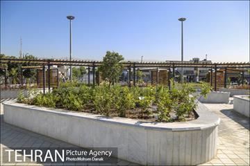 اتمام بازپیرایی میدان محمدیه 16