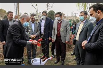 مراسم‌ کاشت نهال در بوستان بهاران منطقه ۱۷