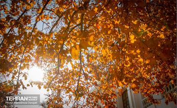 گذرگاه های پاییزی پایتخت - باغ فردوس  7