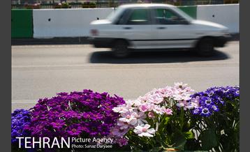 گل آرایی پل سیدخندان 31