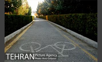 شهرک صدرا 13