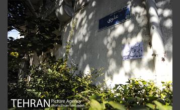 تکیه گردی احمد مسجد جامعی 11