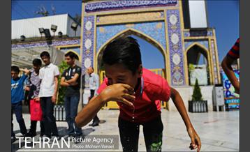 امامزاده صالح (علیه السلام) 14