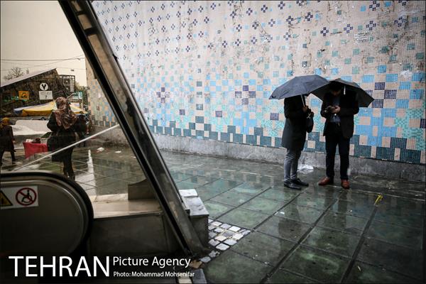 بارش باران بهاری در تهران 7