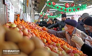 بازدید مدیرعامل سازمان تره‌وبار از میادین میوه 1