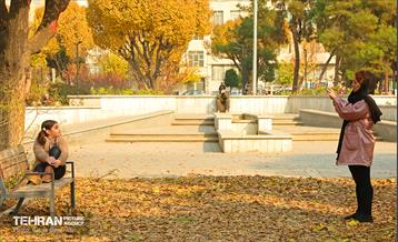 گذرگاه های پاییزی پایتخت - منطقه 13