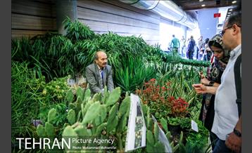 هفدهمین نمایشگاه بین‌المللی گل و گیاه 4
