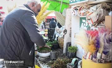 بازار گل شهید محلاتی در آخرین روزهاى سال 14