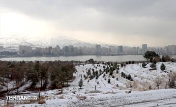 روز برفی در منطقه 22 15