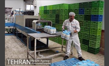 خط تولید شرکت صنایع شیر ایران 7