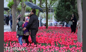 جشنواره لاله‌ها در بوستان زندگی محله هرندی 11