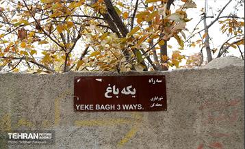 طبیعت پاییزی کوچه باغ‌های محله کن 11