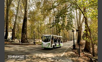 آخرین روزهای پاییزی  18