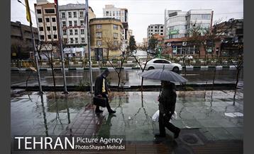 بارش باران بهاری در تهران 13