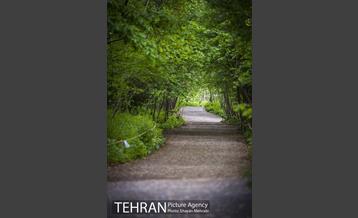 باغ گیاه‌شناسی ملی ایران 22