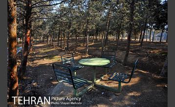 پارک جنگلی سرخه حصار 15