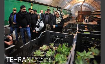 بازدید قائم مقام معاونت اجتماعی و جعمی از هنرمندان از سرای امید طلوع 38