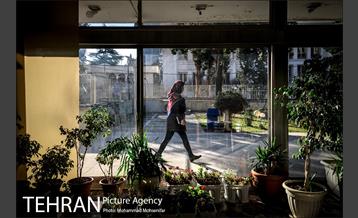 زیر تیغ آفتاب 3