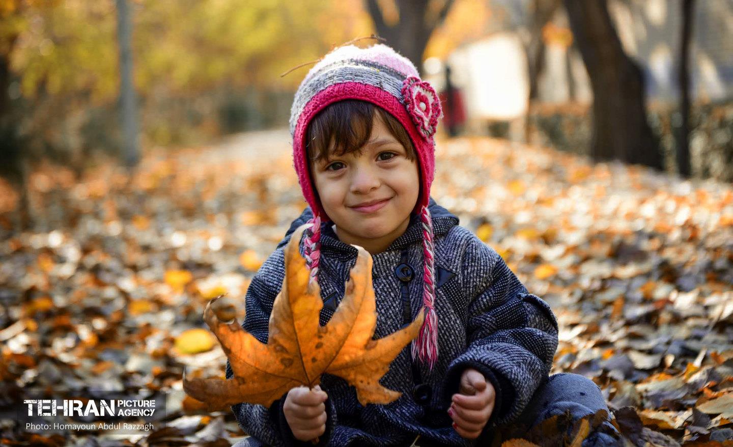 گذرگاه های پاییزی پایتخت - منطقه 14