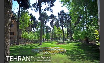 عمارت مسعودیه 49