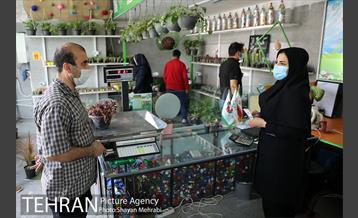 طرح گلماند در منطقه 18