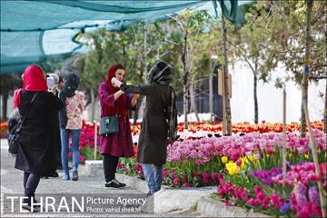پیاده راه لاله برای مادران 26