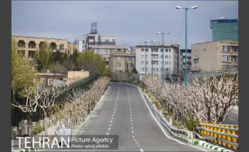 روز طبیعت متفاوت در شهر تهران 2 15