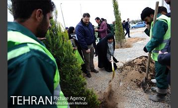 آیین کاشت درخت ایثار و امنیت 34