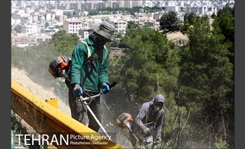 علف زنی بوستانهای تهران برای مقابله با آتش سوزی 2