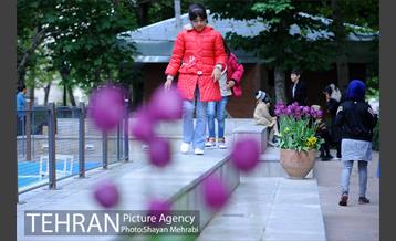 باغ ایراتی (بوستان مهندس مختاری) 15