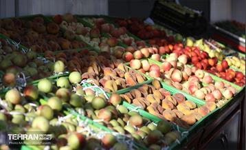 افتتاح ۲ بازار میوه و تره‌بار در تهران 32