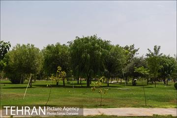 بوستان پردیس بانوان 15