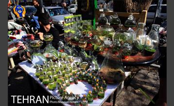 بازار امام زاده حسن در آستانه عید نوروز 20