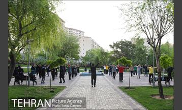 بوستان پلیس 13