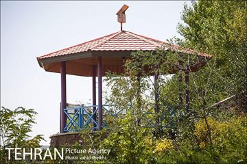بوستان گلابدره 17