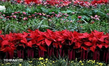 نوزدهمین نمایشگاه گل و گیاه تهران 30