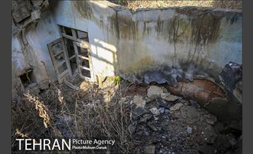 تاریخ رها شده؛ باغ کیهانی 19